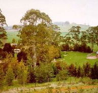 The Tasmanian Arboretum - Tourism Noosa
