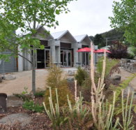 Tin Dragon Interpretation Centre and Cafe - Tourism Noosa