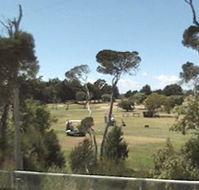 Greens Beach Golf Course - Tourism Noosa