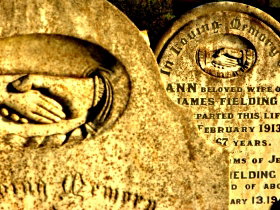 Loyetea ACT Tourism Noosa