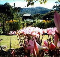 Blueberry Cottage Open Gardens - Tourism Noosa