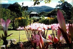 Blueberry Cottage Open Gardens - Tourism Noosa 0