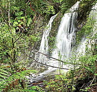 Hogarth Falls - Tourism Noosa