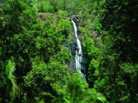 Montville QLD Tourism Noosa