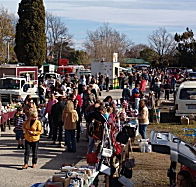 Evandale Market - Tourism Noosa