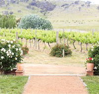 Brindabella Hills Winery - Tourism Noosa