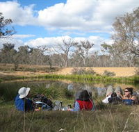 Canberra Nature Park - Tourism Noosa