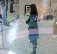 Beaver Galleries - Tourism Noosa