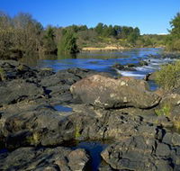 Pine Island to Point Hut Reserve - Tourism Noosa