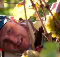 Puddleduck Vineyard - Tourism Noosa