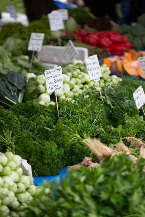 Salamanca Market - Tourism Noosa 5