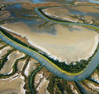 The Wilderness Gallery - Tourism Noosa