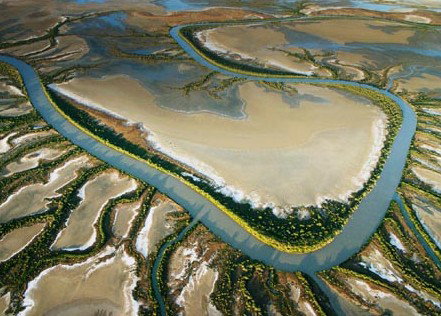 The Wilderness Gallery - Tourism Noosa 0