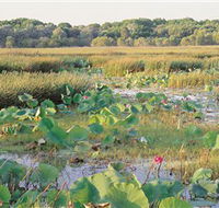 Fogg Dam Conservation Reserve - Tourism Noosa
