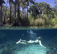 Bitter Springs - Tourism Noosa