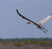 Gayngaru Wetlands Interpretive Walk - Tourism Noosa