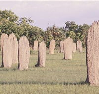 Magnetic Termite Mounds - Tourism Noosa