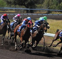 Alice Springs Turf Club - Tourism Noosa