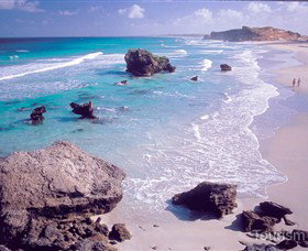 Dhimurru Recreational Area - Tourism Noosa 0