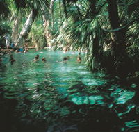 Mataranka Thermal Pool - Tourism Noosa