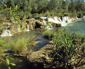 Flora River Nature Park - Tourism Noosa 0