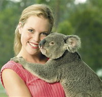 Paradise Country Aussie Farm Tour - Tourism Noosa