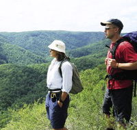 Sunshine Coast Hinterland Great Walk - Tourism Noosa