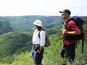 Sunshine Coast Hinterland Great! Walk - Tourism Noosa 0