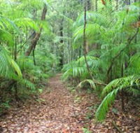 Delicia Road Conservation Park - Tourism Noosa