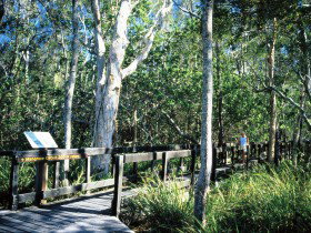Noosa Heads QLD Tourism Noosa