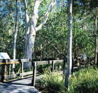 Kinaba Track - Tourism Noosa