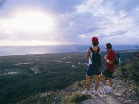Mount Coolum National Park - Tourism Noosa 0