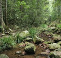 Amamoor State Forest - Tourism Noosa