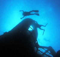 Ex HMAS Brisbane Dive Site - Tourism Noosa