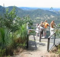 Mapleton Forest Reserve - Tourism Noosa