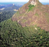 Mount Beerwah Track - Tourism Noosa