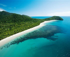 Cape Tribulation, Daintree National Park - Tourism Noosa 0