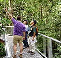 Daintree Discovery Centre - Tourism Noosa