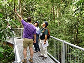 Daintree Discovery Centre - Tourism Noosa 0