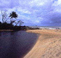 Russell River National Park - Tourism Noosa