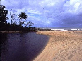 Russell River National Park - Tourism Noosa 0