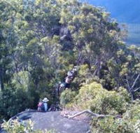 Mia Mia State Forest - Tourism Noosa