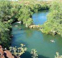 Wild Dog Dreaming Boodjamulla Lawn Hill National Park - Tourism Noosa