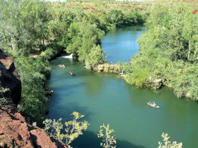 Wild Dog Dreaming, Boodjamulla (Lawn Hill) National Park - Tourism Noosa 0