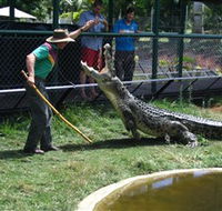 Snakes Downunder Reptile Park and Zoo - Tourism Noosa
