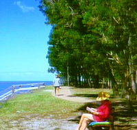 Melaleuca Track - Tourism Noosa