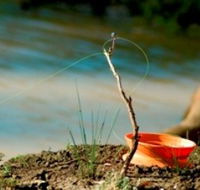 Charleville - Mangalore Warrego River Fishing Spot - Tourism Noosa