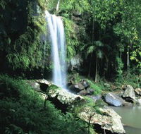 Curtis Falls Joalah Section - Tourism Noosa