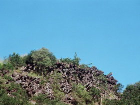 Lawgi Dawes QLD Tourism Noosa