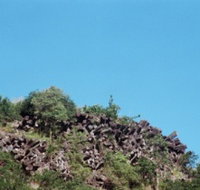 Mount Scoria Conservation Park - Tourism Noosa